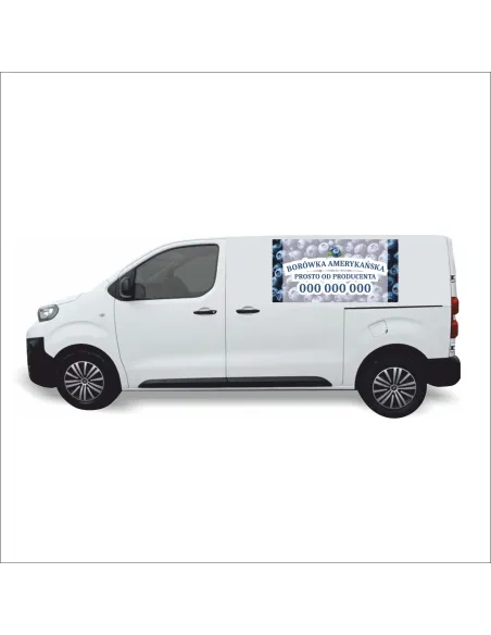 Reklama Naklejka na samochód 0,5 m2 BORÓWKI AMERYKAŃSKIE