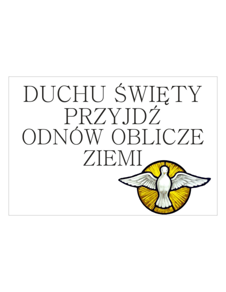 Magnesy na lodówkę -  DUCHU ŚWIETY PRZYJDŹ ODNÓW OBLICZE ZIEMI