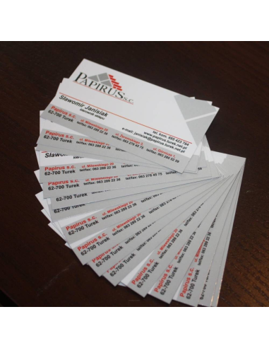 WIZYTÓWKI 300 szt. 48h szybki druk EXPRESS