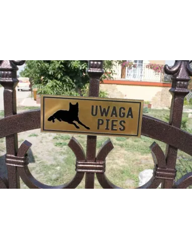ZŁY PIES - tabliczka ostrzegawcza grawerowana z laminatu