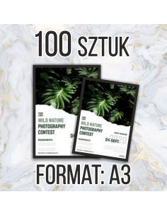Plakaty A3 100 sztuk + projekt gratis