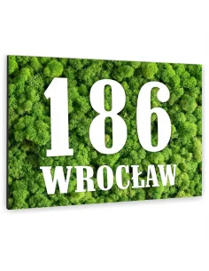 NUMER NA BUDYNEK dom Tabliczka INOX kolorowy nadruk ALUMINIUM 3D 20x15 cm dibond