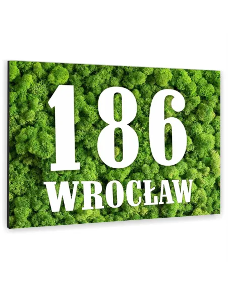 NUMER NA BUDYNEK dom Tabliczka INOX kolorowy nadruk ALUMINIUM 3D 20x15 cm dibond