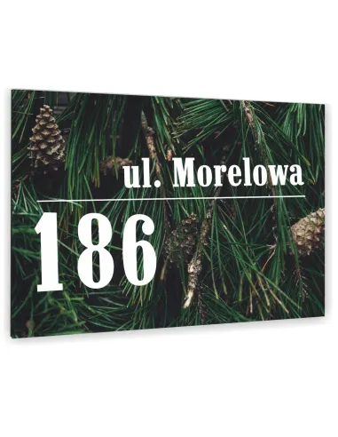 METALOWA kolorowa TABLICA ADRESOWA NAZWA ULICY ALUMINIUM 3D 20x15cm dibond