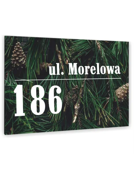 METALOWA kolorowa TABLICA ADRESOWA NAZWA ULICY ALUMINIUM 3D 20x15cm dibond