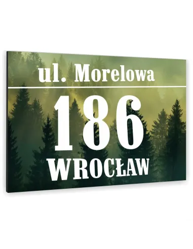 Tablica ALUMINIOWA adresowa Tabliczka Numer Domu różne kolory i wzory 30x20 dibond