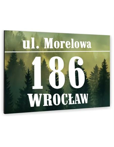 Tablica ALUMINIOWA adresowa Tabliczka Numer Domu różne kolory i wzory 30x20 dibond