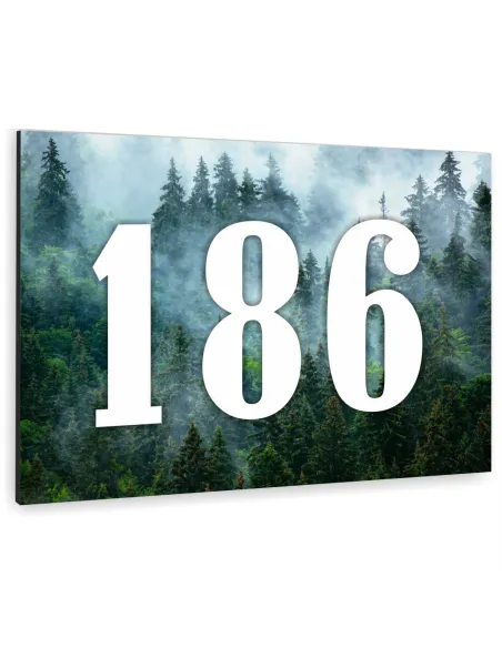 Tabliczka Tablica ADRESOWA ALUMINIOWA różne kolorowe nadruki 40x30 cm dibond