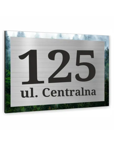 TABLICA ADRESOWA NAZWA ULICY ALUMINIUM kraj obraz drugoplanowy 40x30cm dibond