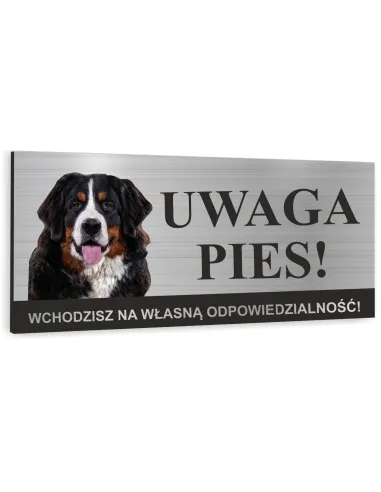 Tabliczka UWAGA ZŁY PIES BERNEŃSKI PIES PASTERSKI Tablica informacyjna ostrzegawcza