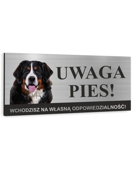 Tabliczka UWAGA ZŁY PIES BERNEŃSKI PIES PASTERSKI Tablica informacyjna ostrzegawcza