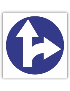Znak drogowy Tablica informacyjna C6 nakaz jazdy prosto lub w prawo -znak nakazu 30x30 cm